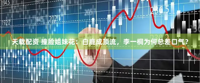 天载配资 撞脸姐妹花：白鹿成顶流，李一桐为何总差口气？