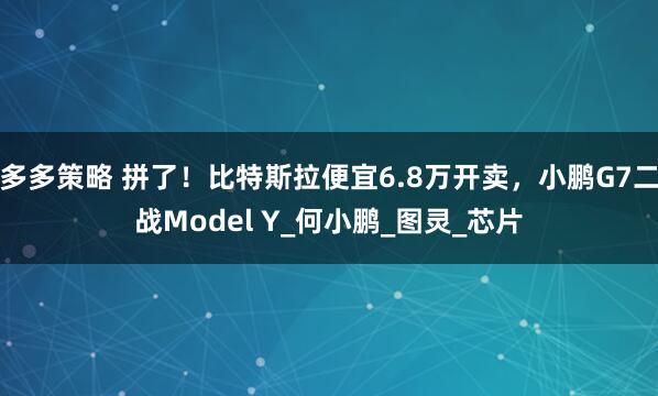 多多策略 拼了！比特斯拉便宜6.8万开卖，小鹏G7二战Model Y_何小鹏_图灵_芯片