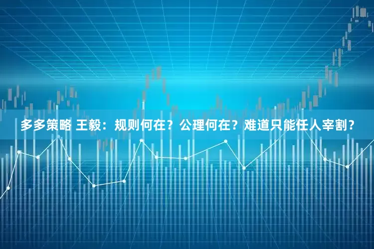 多多策略 王毅：规则何在？公理何在？难道只能任人宰割？