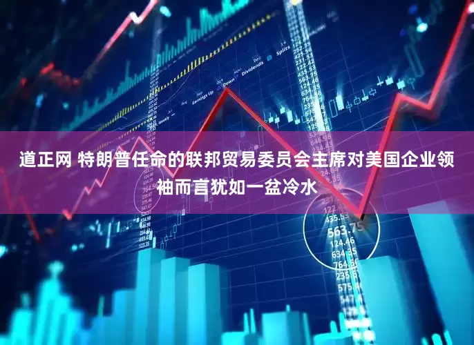道正网 特朗普任命的联邦贸易委员会主席对美国企业领袖而言犹如一盆冷水