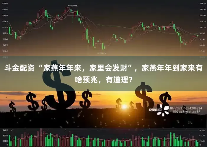 斗金配资 “家燕年年来，家里会发财”，家燕年年到家来有啥预兆，有道理？